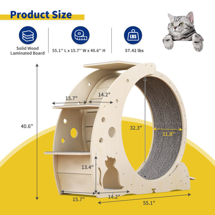 Second hand clearance cat exercise wheel